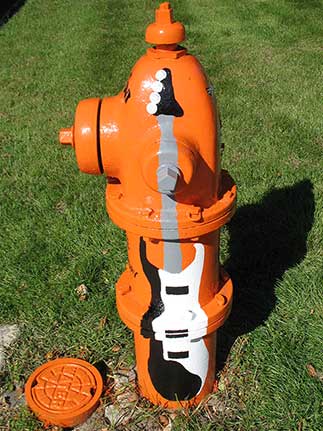 Guitar with Orange Hydrant- Madison and Wisconsin (2)
